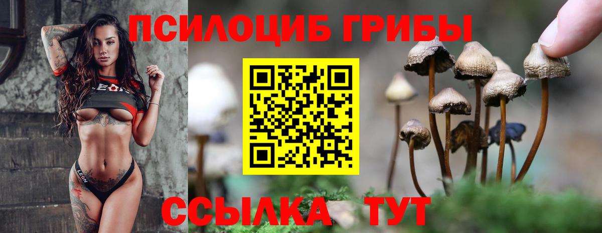 Псилоцибиновые грибы прущие грибы Саратов